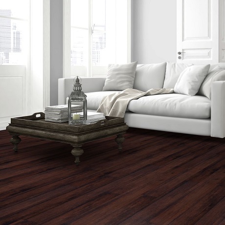 Brandy 3586